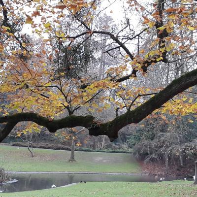 Marche active au Parc de  Procé